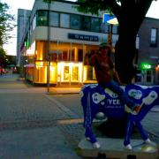 kissanhiekkaastia&hellip;